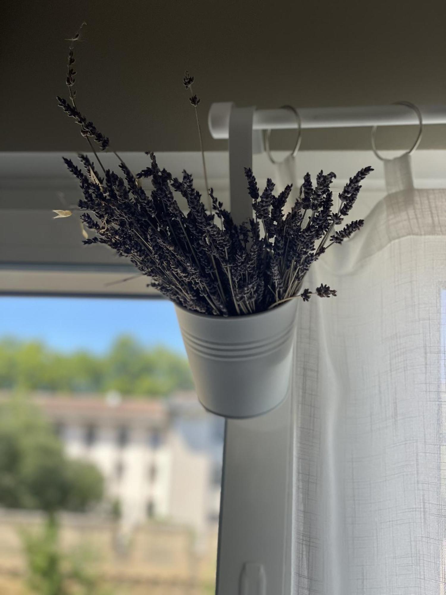 Chez Flo Apartman Avignon Kültér fotó